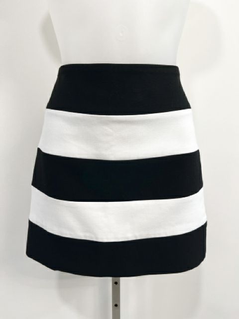 Zara Size Small Stripe Skirt