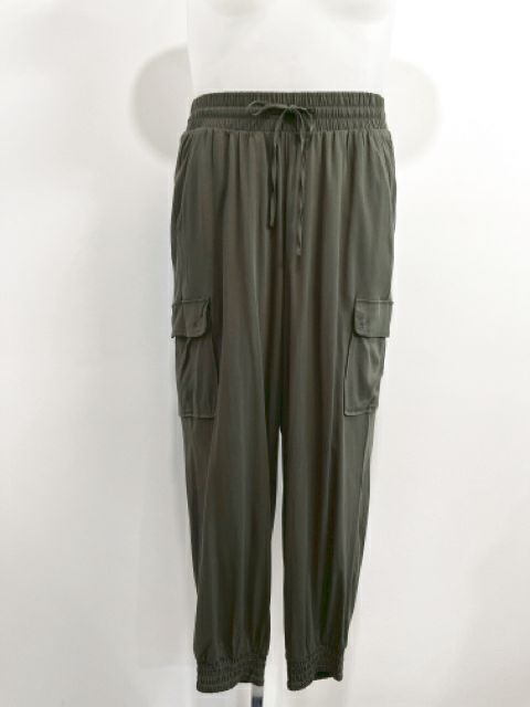 Torrid Size X-Large Olive Pants