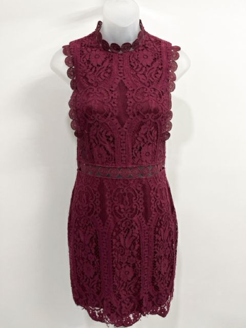 Size Small Burgundy Dress