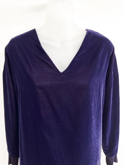 Ralph Lauren Size Small Purple Dress