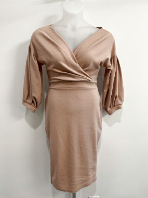 Size Large Blush Dress