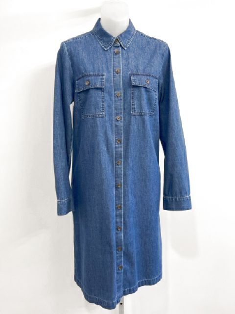 J Crew Size Small Denim Dress