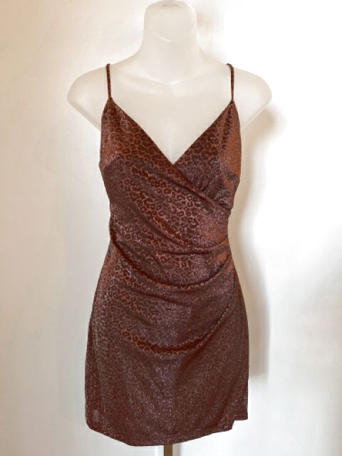 Size Medium Rust Dress