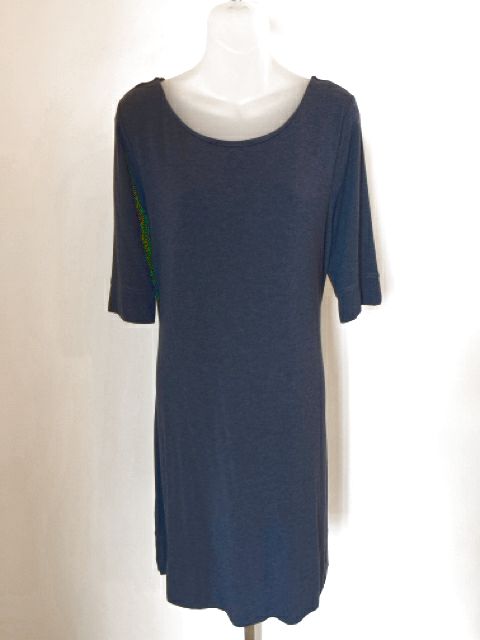 Artisan NY Size X-Large Blue Dress