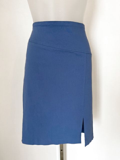 Size Medium Blue Skirt