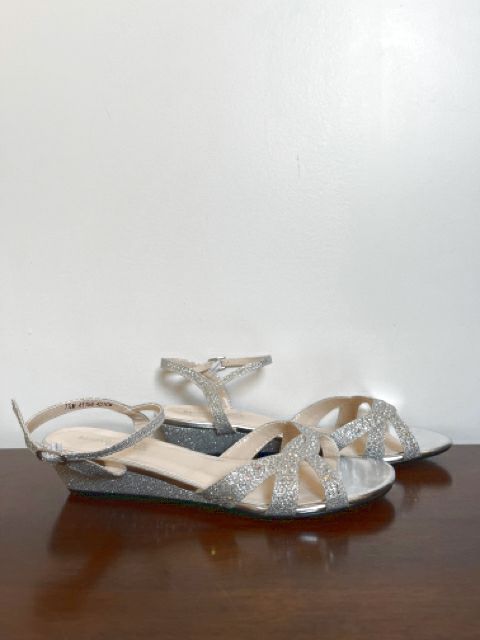 Size 7.5 Silver Shoes