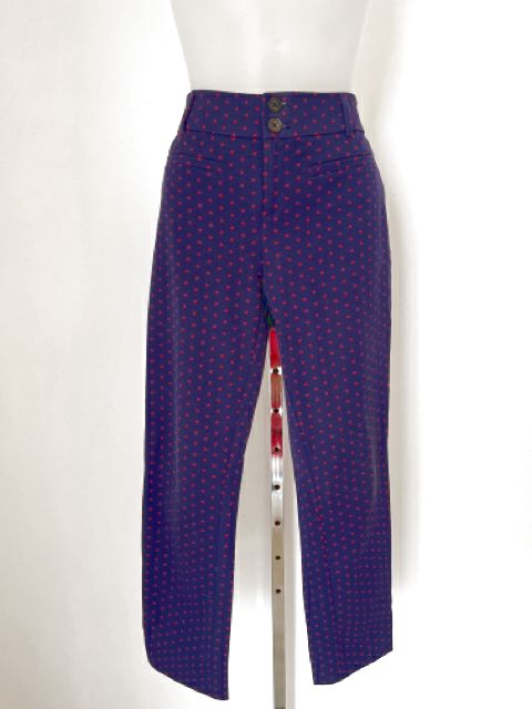 Anthropologie Size Small Blue Pants